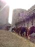 Cheval Cathare